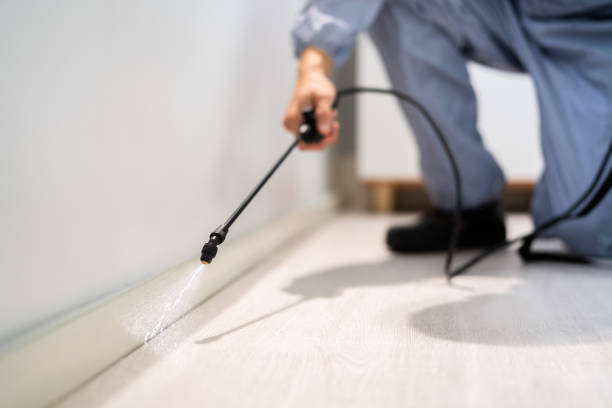 Bed Bug Pre-Treatment Preparation Assessment in Burkburnett