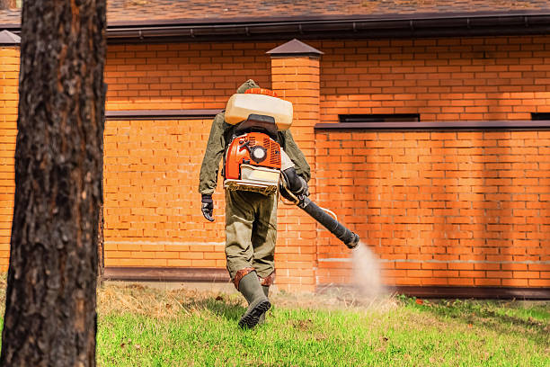 Bed Bug Clearance Verification and Documentation in Burkburnett